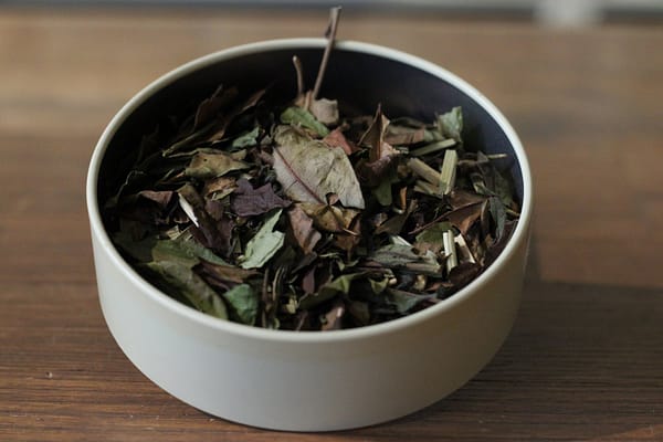 Pai Mu Tan citron gingembre